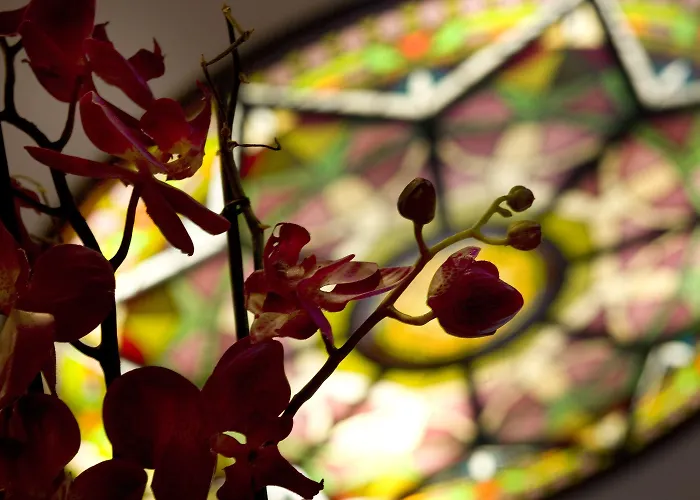 Alba Ξενοδοχείο